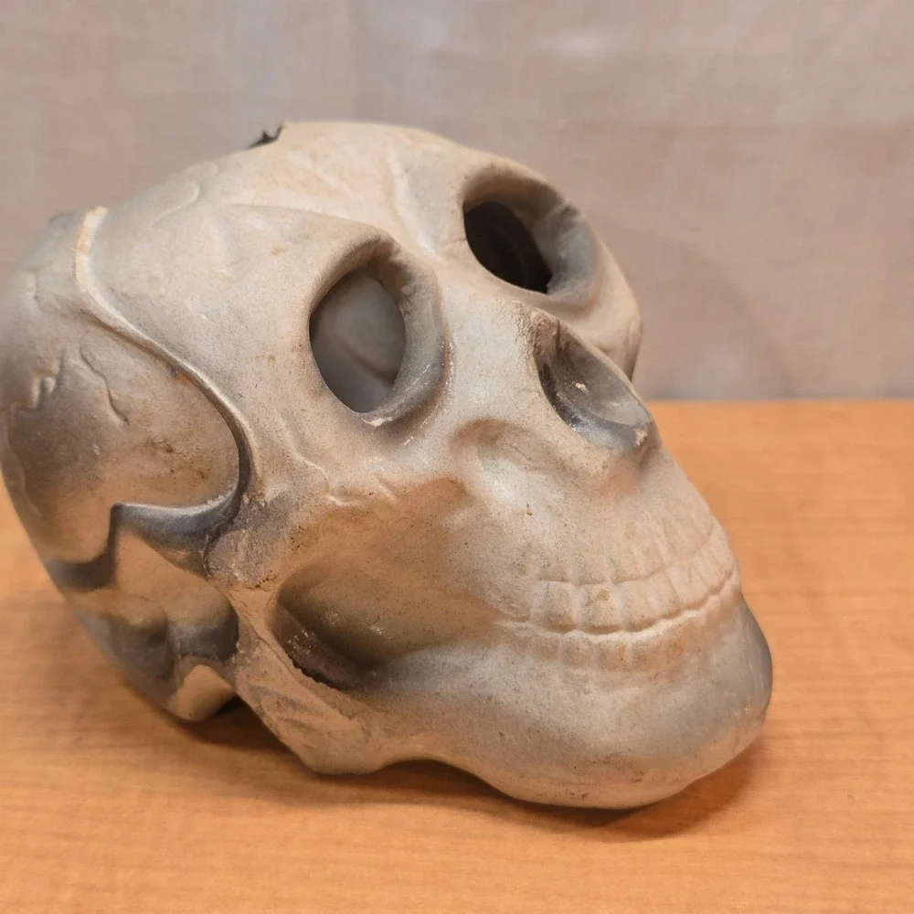 Plastic Human Skull Small 5